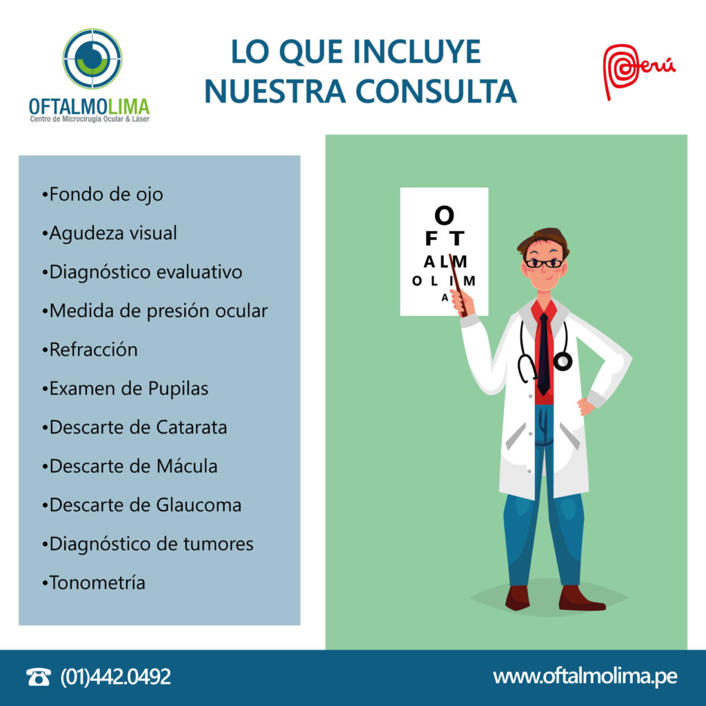 LO QUE INCLUYE NUESTRA CONSULTA
